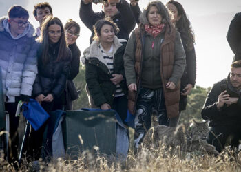 Primera suelta de linces ibéricos en la provincia de Cuenca