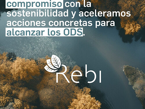 Rebi participa en el programa SDG Ambition del Pacto Mundial de la ONU para avanzar en los Objetivos de Desarrollo Sostenible