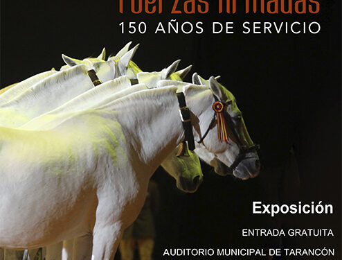 Tarancón acoge una exposición de cría caballar de las Fuerzas Armadas 1 Tarancón acoge una exposición de cría caballar de las Fuerzas Armadas