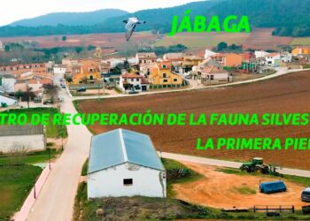 Reportaje. Al Centro de Recuperación de Fauna Silvestre, en Jábaga, le ponen la primera piedra