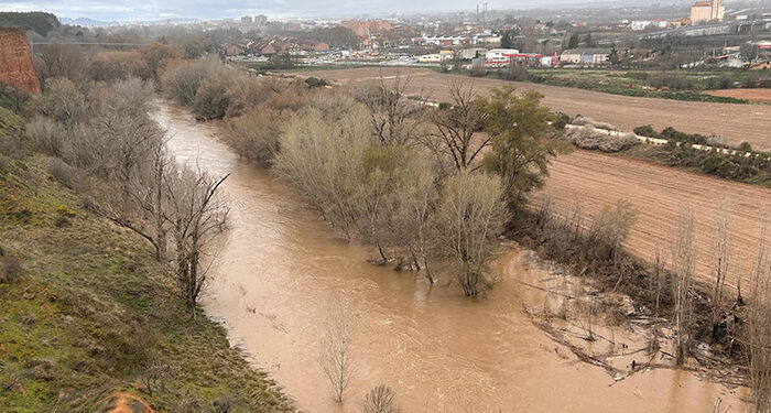 Así baja el río Henares a su paso por Guadalajara este domingo: hay varias carreteras cortadas en la provincia