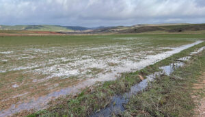 APAG continúa recogiendo datos para cuantificar los daños tras las borrascas