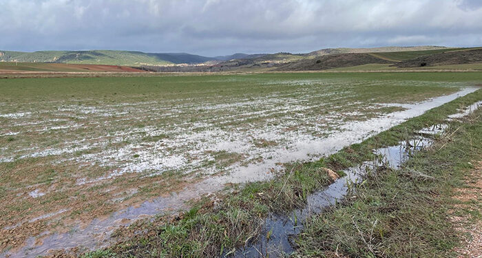 APAG continúa recogiendo datos para cuantificar los daños tras las borrascas 1 APAG continúa recogiendo datos para cuantificar los daños tras las borrascas