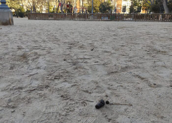 Ciudad y civismo El desafío de convivir con calidad