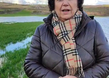 El PP en la Diputación de Guadalajara urge la declaración de ‘Zona Catastrófica’ para las tierras afectadas gravemente por el temporal en la provincia