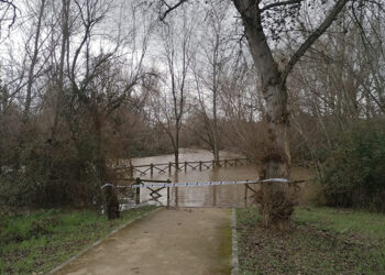 Cortado el acceso al parque fluvial del río Henares a su paso por Guadalajara Cortado el acceso al parque fluvial del río Henares a su paso por Guadalajara