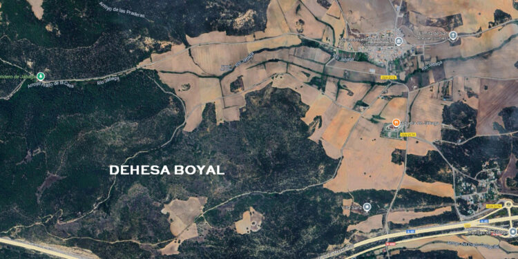 Se inician en Jábaga los trabajos de tratamiento silvícolas en la Dehesa Boyal. 1 DEHESA