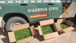 Detenido en Torrejón del Rey por tráfico de drogas