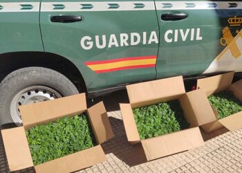 Detenido en Torrejón del Rey por tráfico de drogas