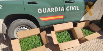 Detenido en Torrejón del Rey por tráfico de drogas