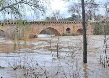 El Ayuntamiento de Guadalajara incrementa la vigilancia sobre el río Henares ante la crecida del caudal que se encuentra en nivel rojo