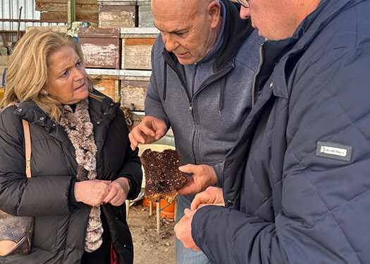 El PP destaca el “especial beneficio” para Cuenca de la Ley de Fiscalidad Agraria presentada en el Senado