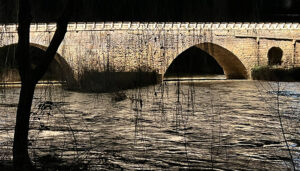 El PRICAM pasa a Fase de Emergencia, Situación Operativa 1, en Guadalajara