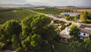 Finca Río Negro, nueva Denominación de Origen vínica de Castilla-La Mancha tras su publicación hoy en el Diario Oficial de la Unión Europea