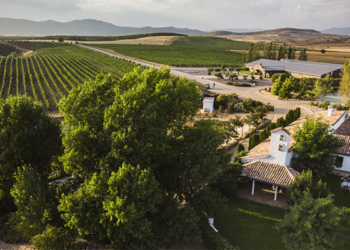 Finca Río Negro, nueva Denominación de Origen vínica de Castilla-La Mancha tras su publicación hoy en el Diario Oficial de la Unión Europea