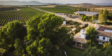 Finca Río Negro, nueva Denominación de Origen vínica de Castilla-La Mancha tras su publicación hoy en el Diario Oficial de la Unión Europea