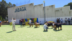 IMG 20240413 140146 LIBERAL