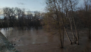 IMG 20250311 193507 | Liberal de Castilla