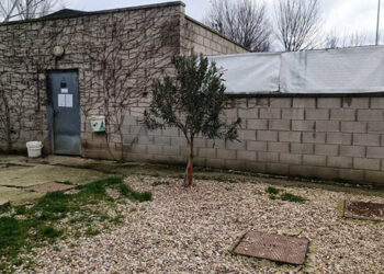 La Camada prepara el albergue de Fontanar ante una posible evacuación de todos los animales por la crecida del Henares
