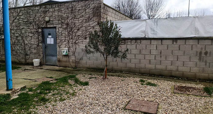 La Camada prepara el albergue de Fontanar ante una posible evacuación de todos los animales por la crecida del Henares