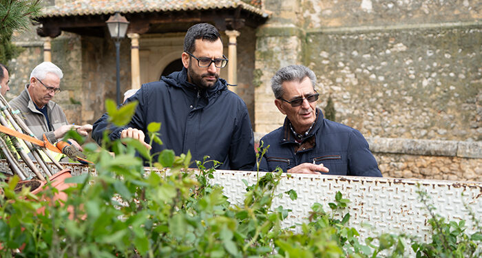 La Diputación distribuye 6.775 árboles entre 211 pueblos de Guadalajara 1 La Diputación distribuye 6.775 árboles entre 211 pueblos de Guadalajara