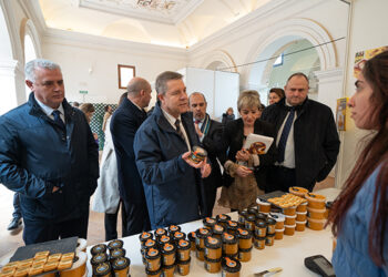 La Diputación trabaja en un proyecto de IA para promocionar los productos y el turismo de Guadalajara