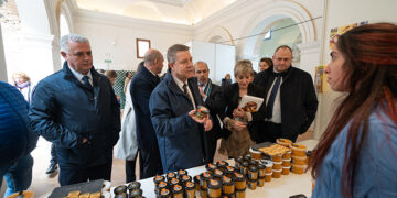 La Diputación trabaja en un proyecto de IA para promocionar los productos y el turismo de Guadalajara