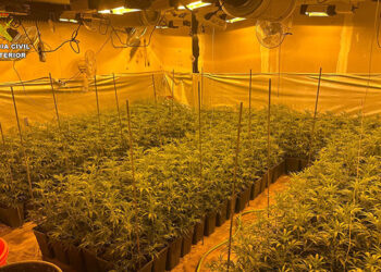 La Guardia Civil descubre una plantación de marihuana al acudir a un domicilio en El Casar para comprobar una señal de alarma