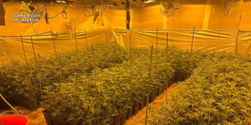 La Guardia Civil descubre una plantación de marihuana al acudir a un domicilio en El Casar para comprobar una señal de alarma