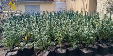 La Guardia Civil desmantela una plantación de marihuana indoor en la urbanización “El Ballestar” de Barajas de Melo