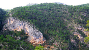 La Junta celebra el Día Internacional de los Bosques con actividades gratuitas y de sensibilización ambiental en los espacios naturales