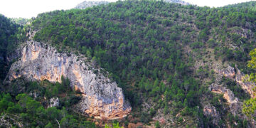 La Junta celebra el Día Internacional de los Bosques con actividades gratuitas y de sensibilización ambiental en los espacios naturales