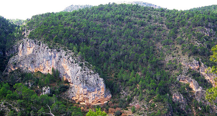 La Junta celebra el Día Internacional de los Bosques con actividades gratuitas y de sensibilización ambiental en los espacios naturales 1 La Junta celebra el Día Internacional de los Bosques con actividades gratuitas y de sensibilización ambiental en los espacios naturales