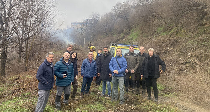 La Junta continúa con los tratamientos selvícolas en montes de Castejón, Cañada del Hoyo, Paracuellos de la Vega o Valdetórtola