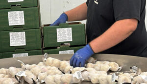 La Junta destina 3,8 millones de euros a las Agrupaciones de Productores de Productos Agroalimentarios para mejorar su posición en la cadena valor