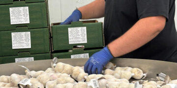 La Junta destina 3,8 millones de euros a las Agrupaciones de Productores de Productos Agroalimentarios para mejorar su posición en la cadena valor