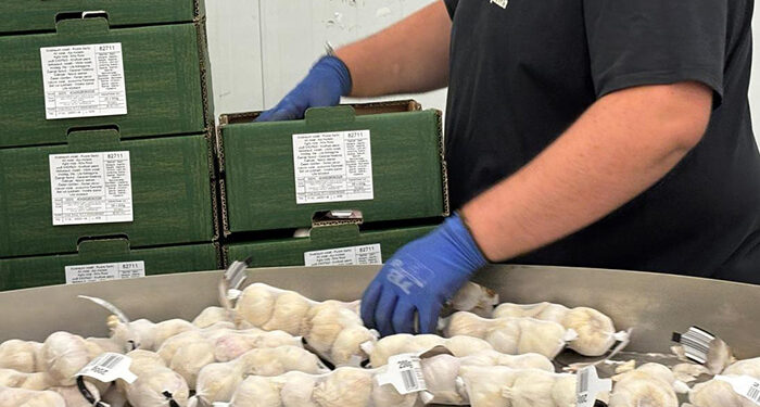 La Junta destina 3,8 millones de euros a las Agrupaciones de Productores de Productos Agroalimentarios para mejorar su posición en la cadena valor