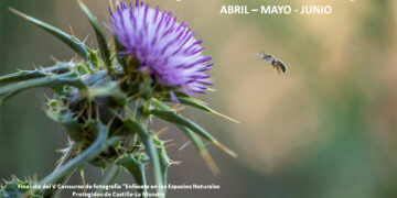 La Junta organiza más de 40 actividades en los espacios naturales en una nueva edición del Programa de Primavera Vive tu Espacio