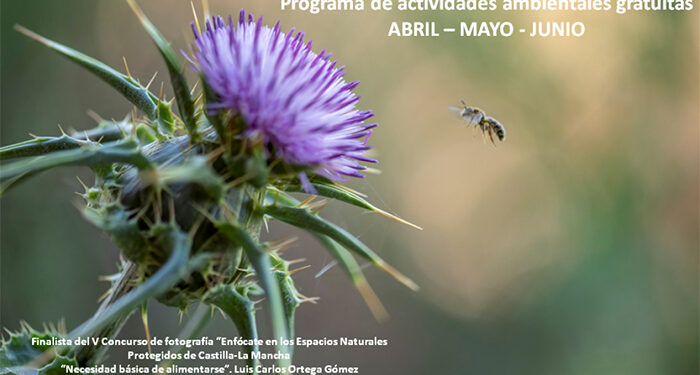 La Junta organiza más de 40 actividades en los espacios naturales en una nueva edición del Programa de Primavera Vive tu Espacio 1 La Junta organiza más de 40 actividades en los espacios naturales en una nueva edición del Programa de Primavera Vive tu Espacio