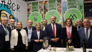 La producción de aceite de oliva en Castilla-La Mancha alcanza ya las 130.500 toneladas, un 34 por ciento más que el año pasado y el doble que en 2023