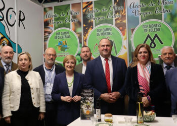 La producción de aceite de oliva en Castilla-La Mancha alcanza ya las 130.500 toneladas, un 34 por ciento más que el año pasado y el doble que en 2023