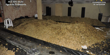 Los vecinos percibían un fuerte olor…. Y la Guardia Civil terminó desmantelando una plantación de marihuana en Uceda