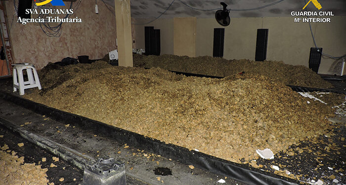 Los vecinos percibían un fuerte olor.... Y la Guardia Civil terminó desmantelando una plantación de marihuana en Uceda 1 Imagen de archivo.