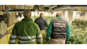 Los vecinos percibían un fuerte olor.... Y la Guardia Civil terminó desmantelando una plantación de marihuana en Uceda