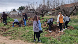 Málaga del Fresno celebra el Día del Árbol