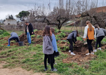 Málaga del Fresno celebra el Día del Árbol