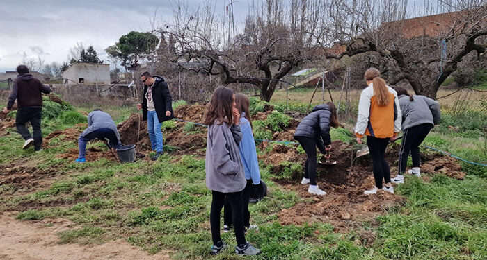 Málaga del Fresno celebra el Día del Árbol