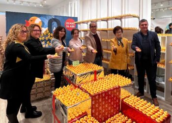 Los 6.000 Patitos Solidarios de APACU esperan padrino o madrina por 1€ en el Centro Comercial Mirador de Cuenca