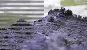 Trillo acogerá una jornada formativa sobre cicloturismo en Castilla-La Mancha como oportunidad rural y motor para el turismo