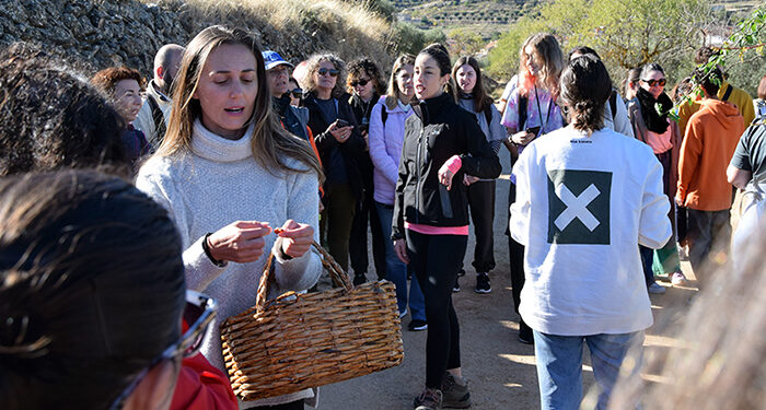 Un estudio de la UCLM revela que las empresas turísticas pioneras suelen ser las más sostenibles 1 Un estudio de la UCLM revela que las empresas turísticas pioneras suelen ser las más sostenibles